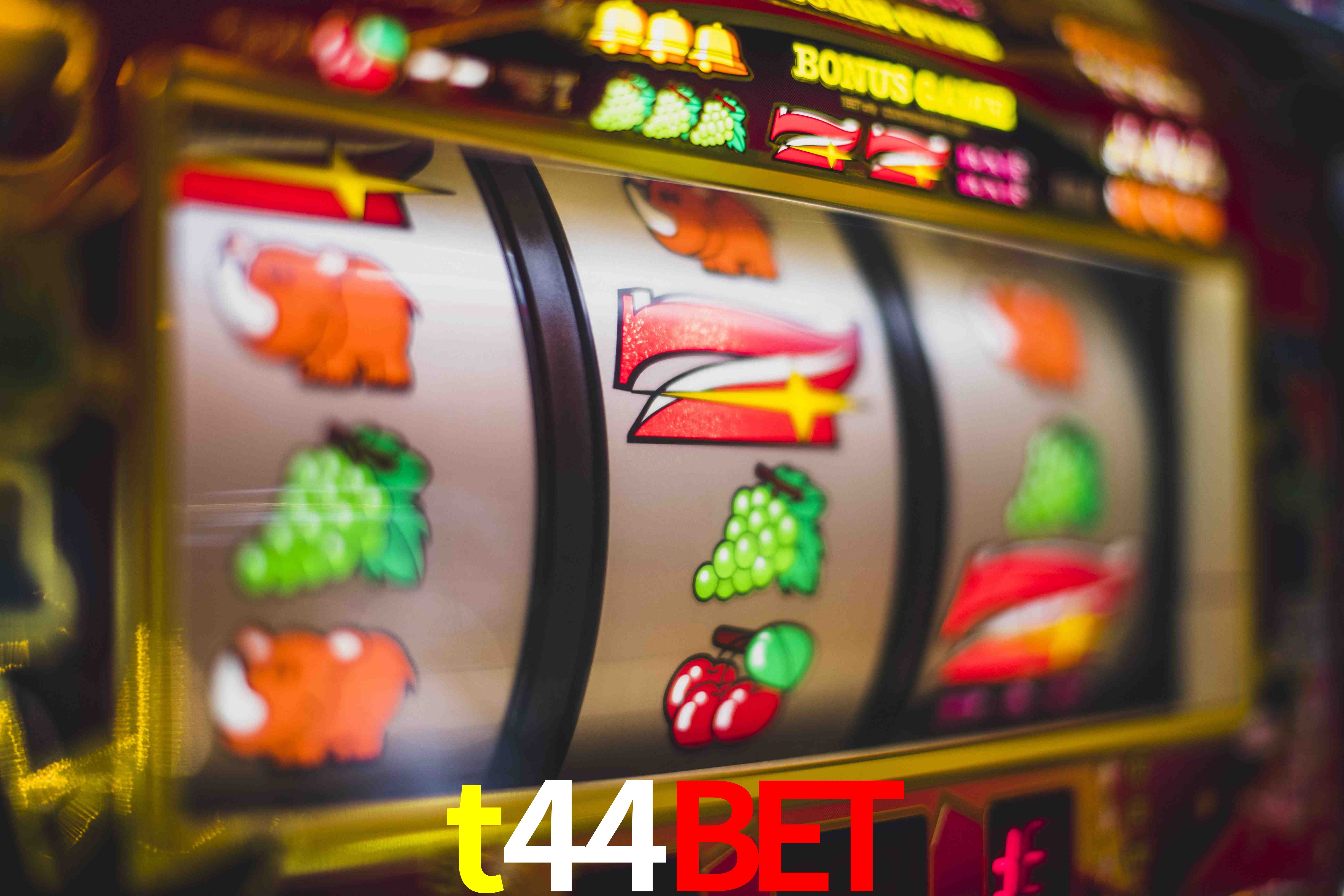 Basketball Betting t44bet